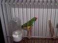 /album/fotogaleria/februar-2013-126-jpg/